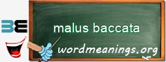 WordMeaning blackboard for malus baccata